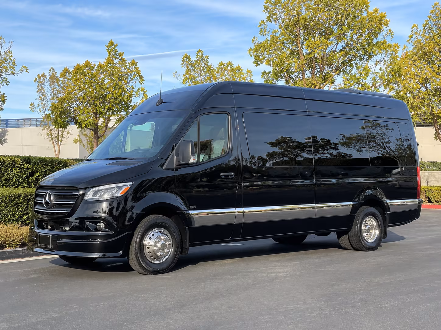 high point 12 passenger sprinter van